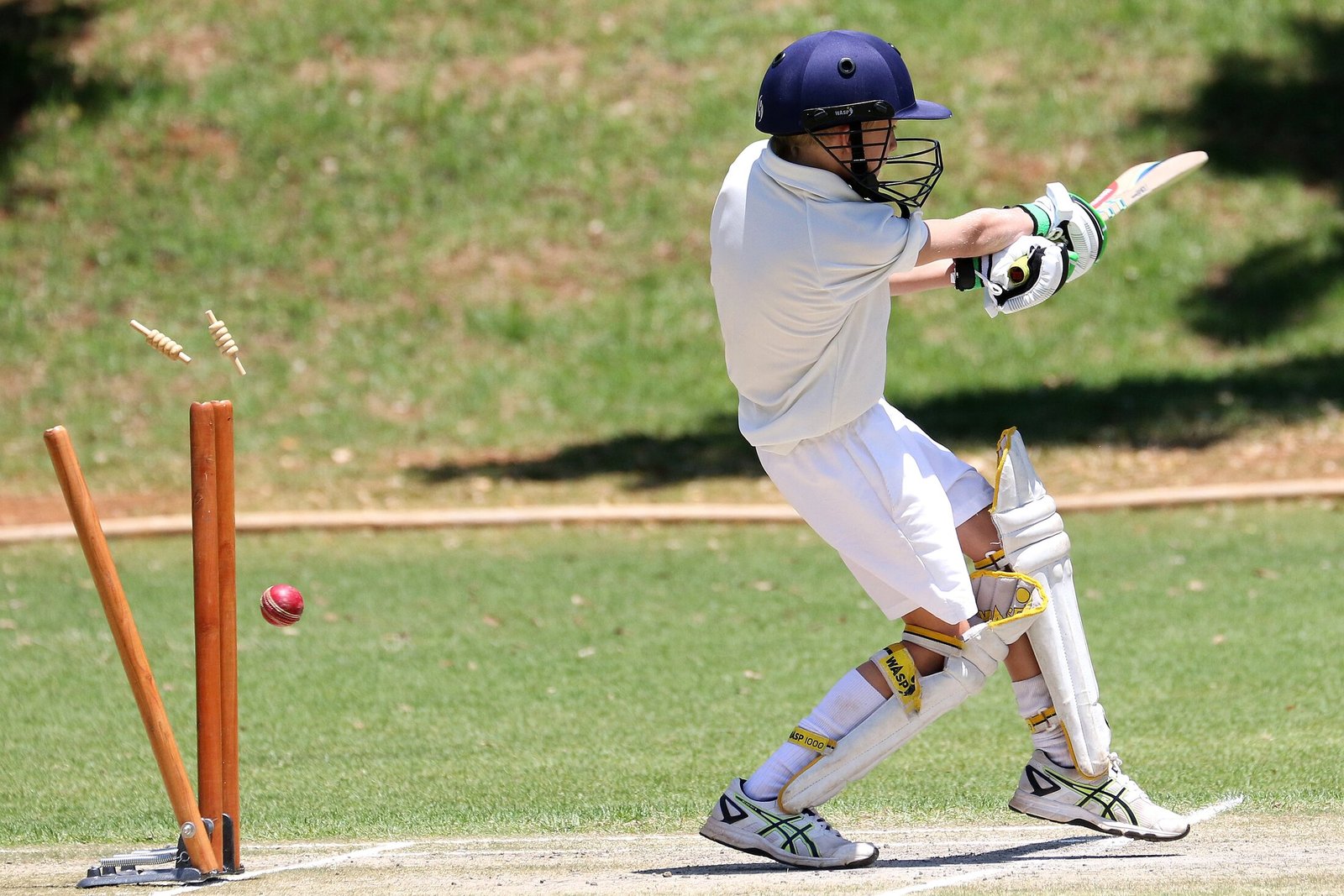 USCC young cricketer bowled out, stumps flying